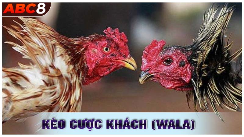 Kèo Cược Khách (Wala) - Cơ Hội Nhận Thưởng Cao